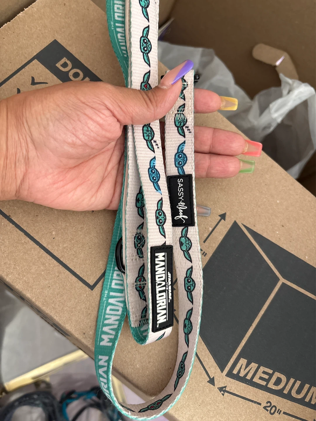 The Mandalorian Dog Leash