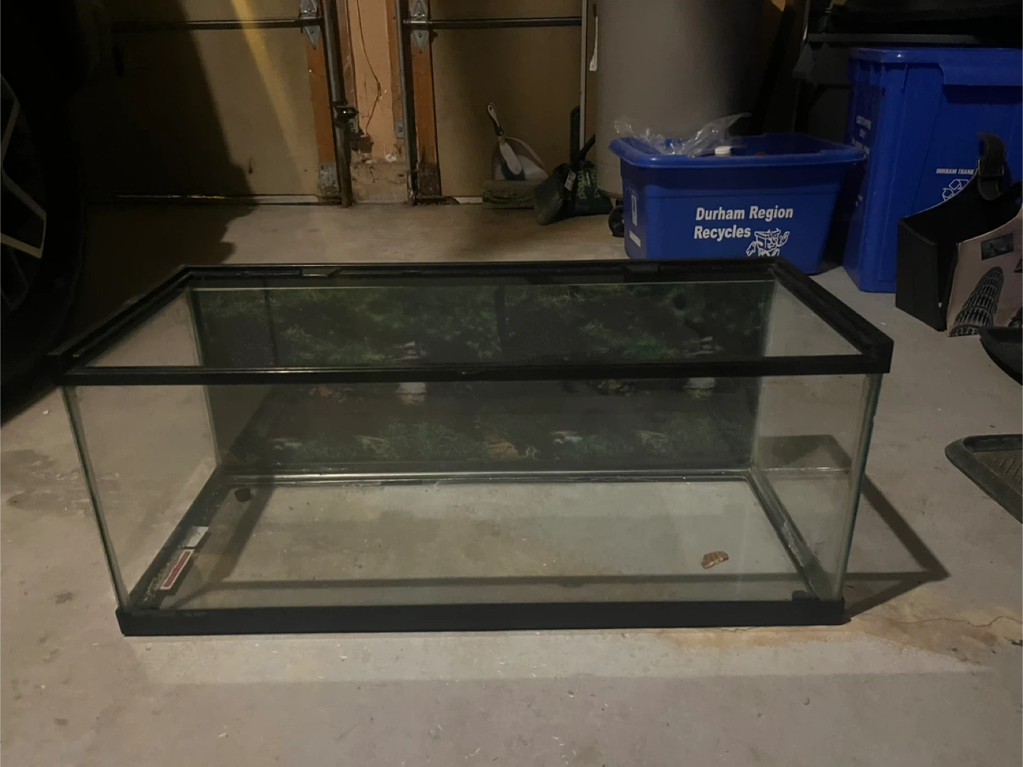 Terrarium