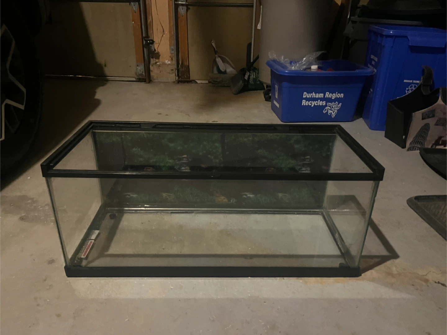 Terrarium - photo 2