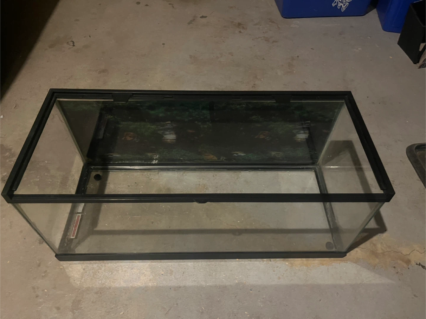 Terrarium - photo 3