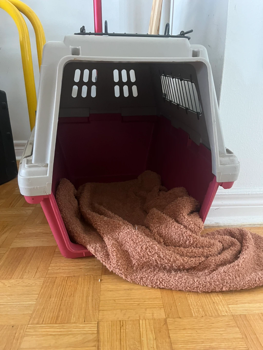 Pet Carrier Crate - photo 2