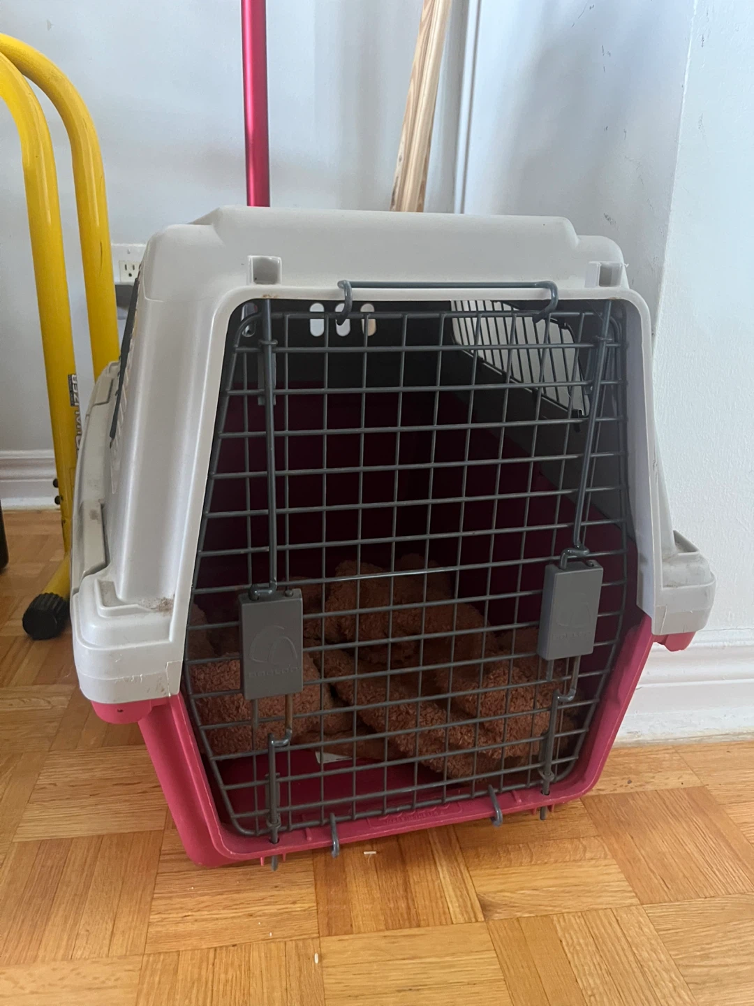 Pet Carrier Crate