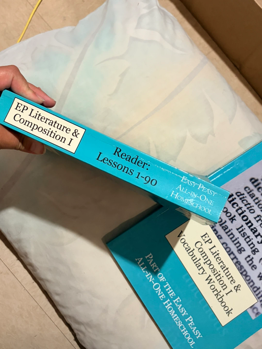 Easy Peasy Homeschool work books - photo 2