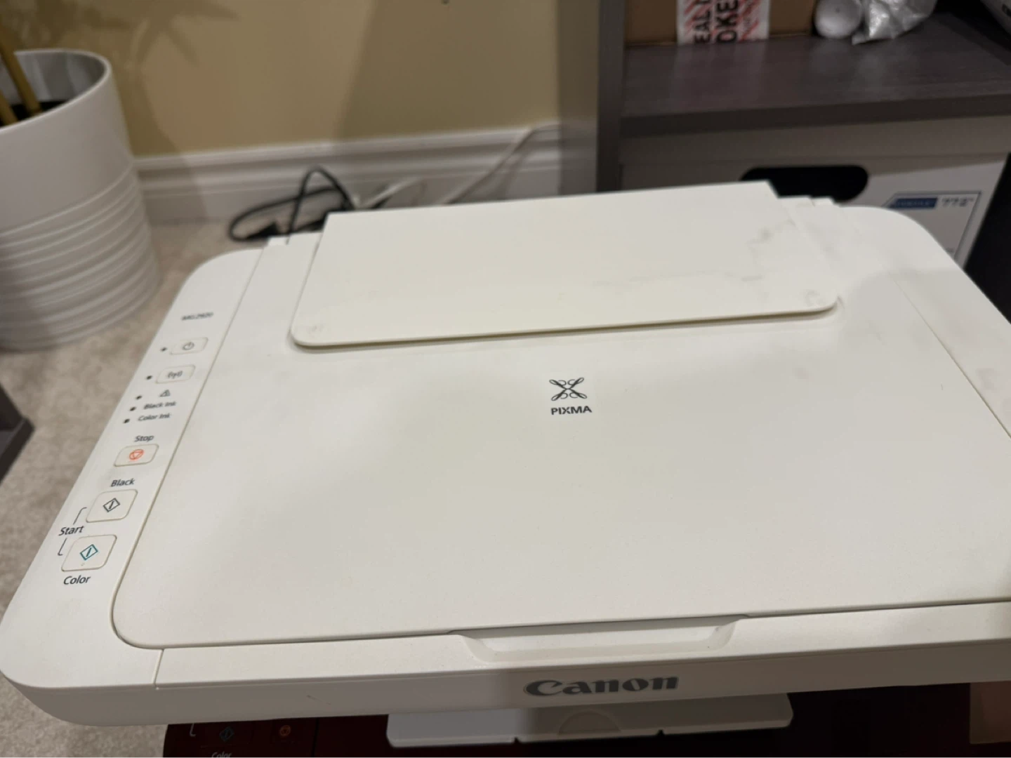 Canon PIXMA MG2920 Printer