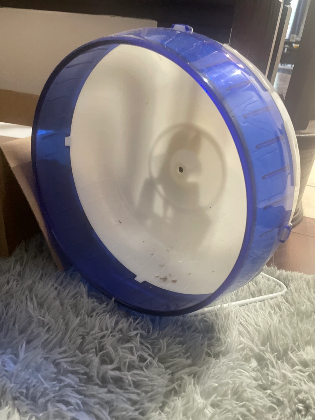 Hamster