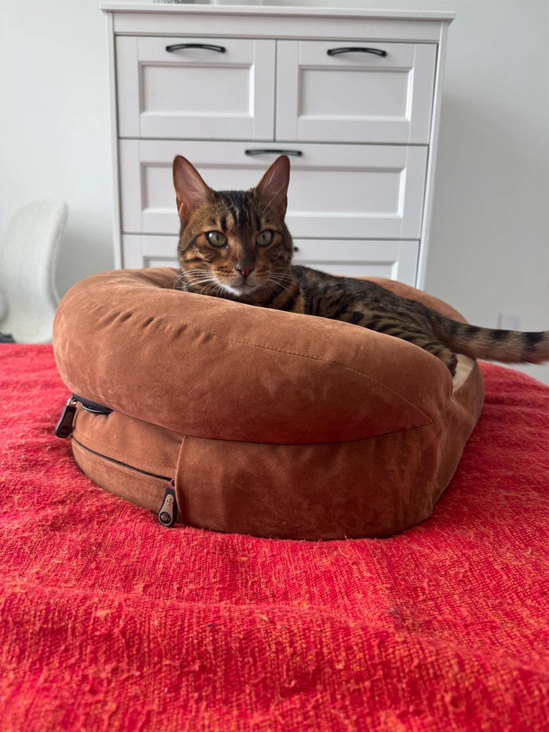 K&H Pet Products Brown Pet Bed - photo 4