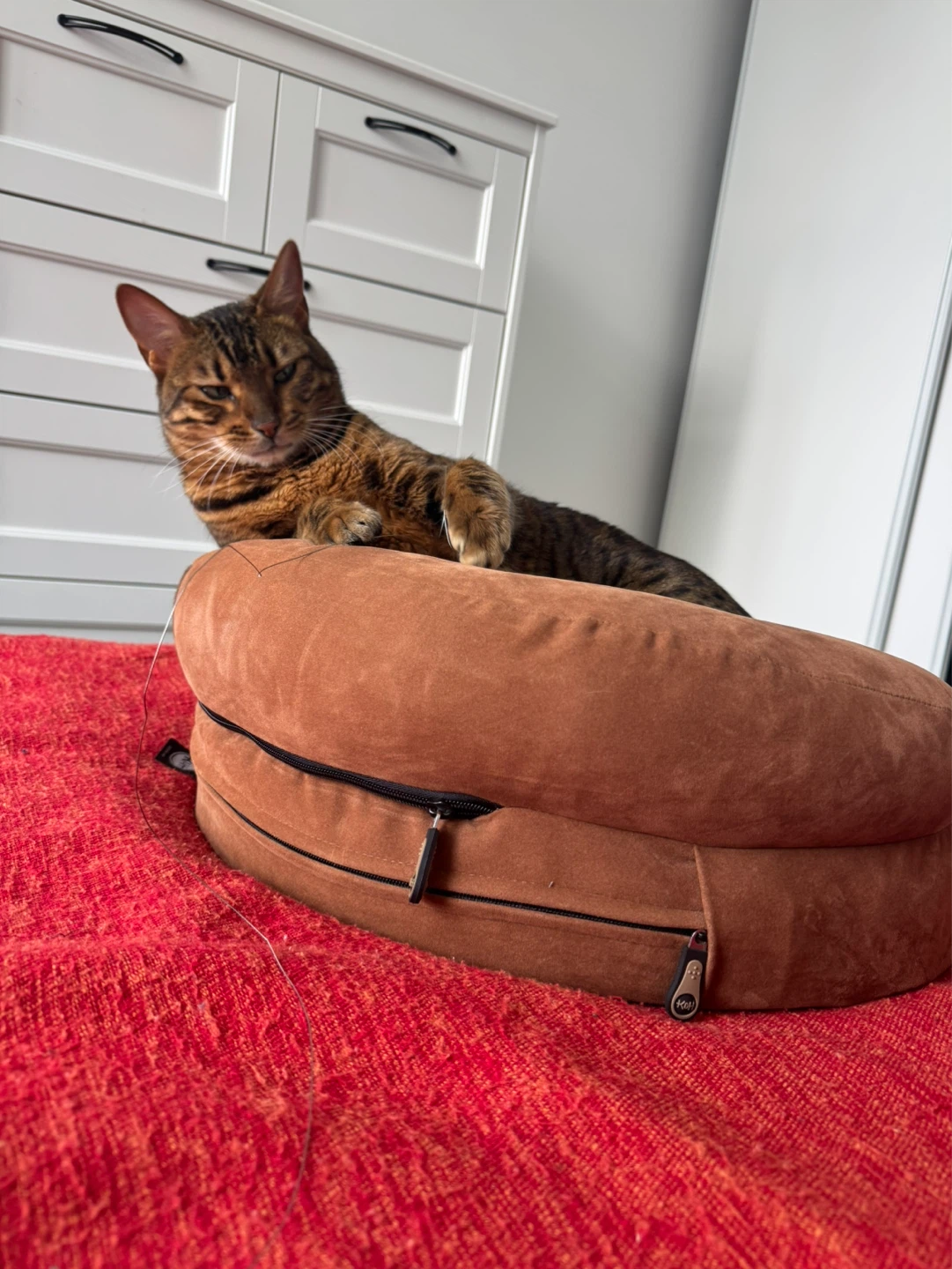 K&H Pet Products Brown Pet Bed - photo 5