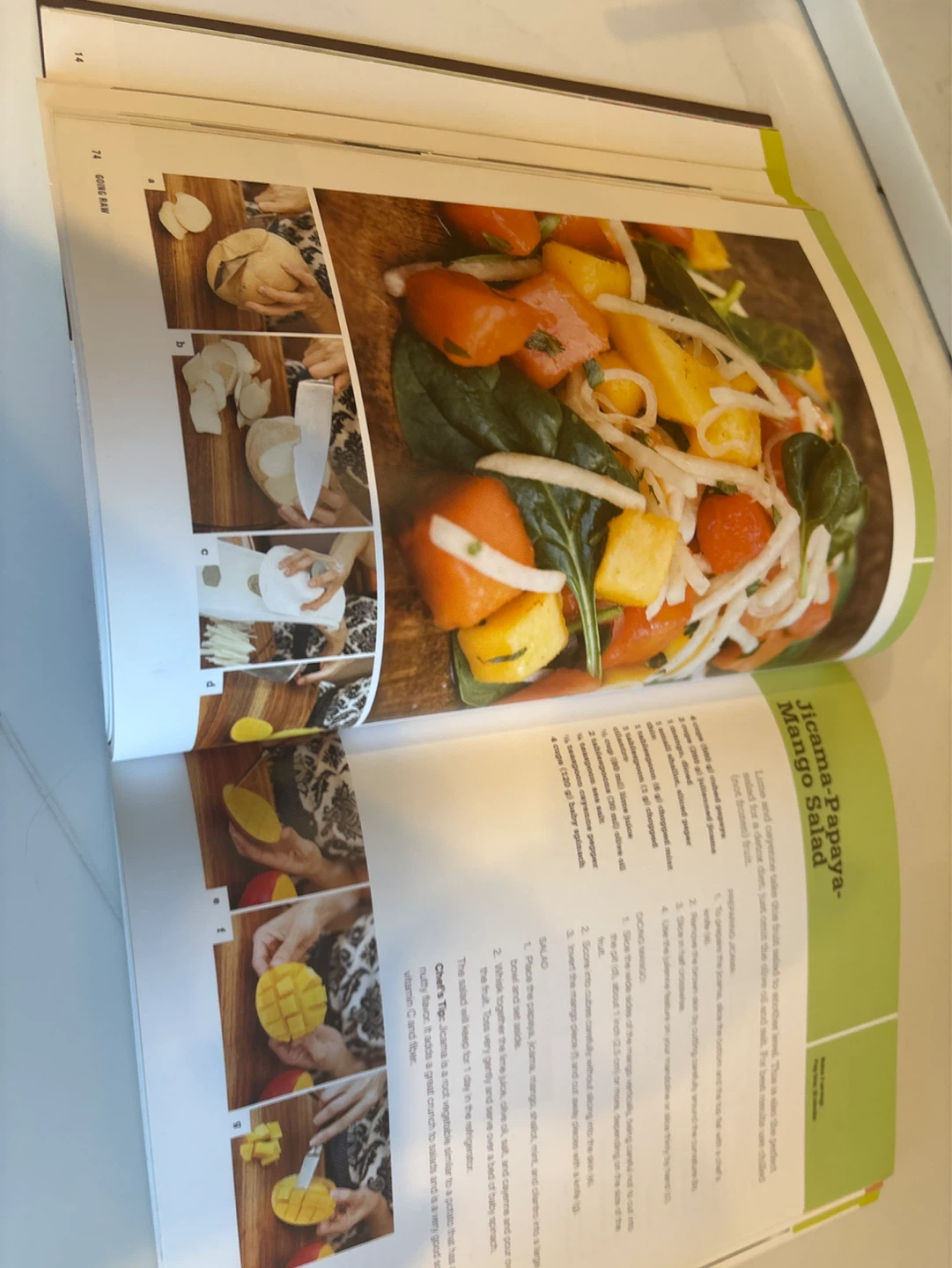 Going Raw Cookbook by Judita Wignall - photo 4