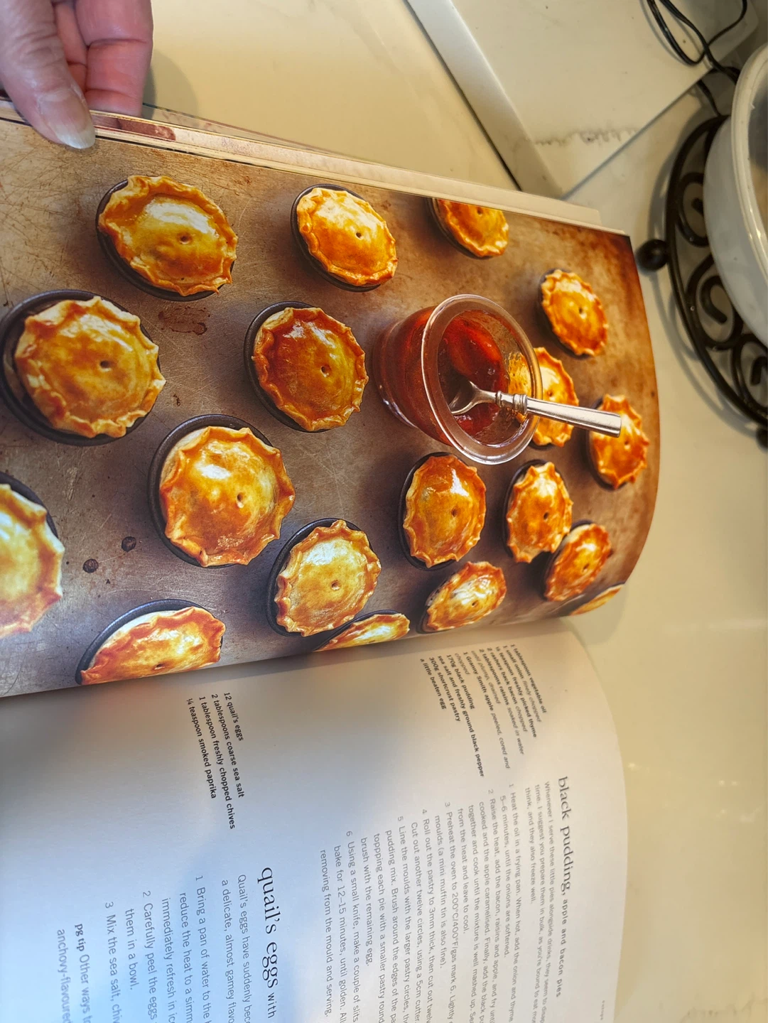 The World in Bite Size Cookbook by Paul Gayler - photo 3