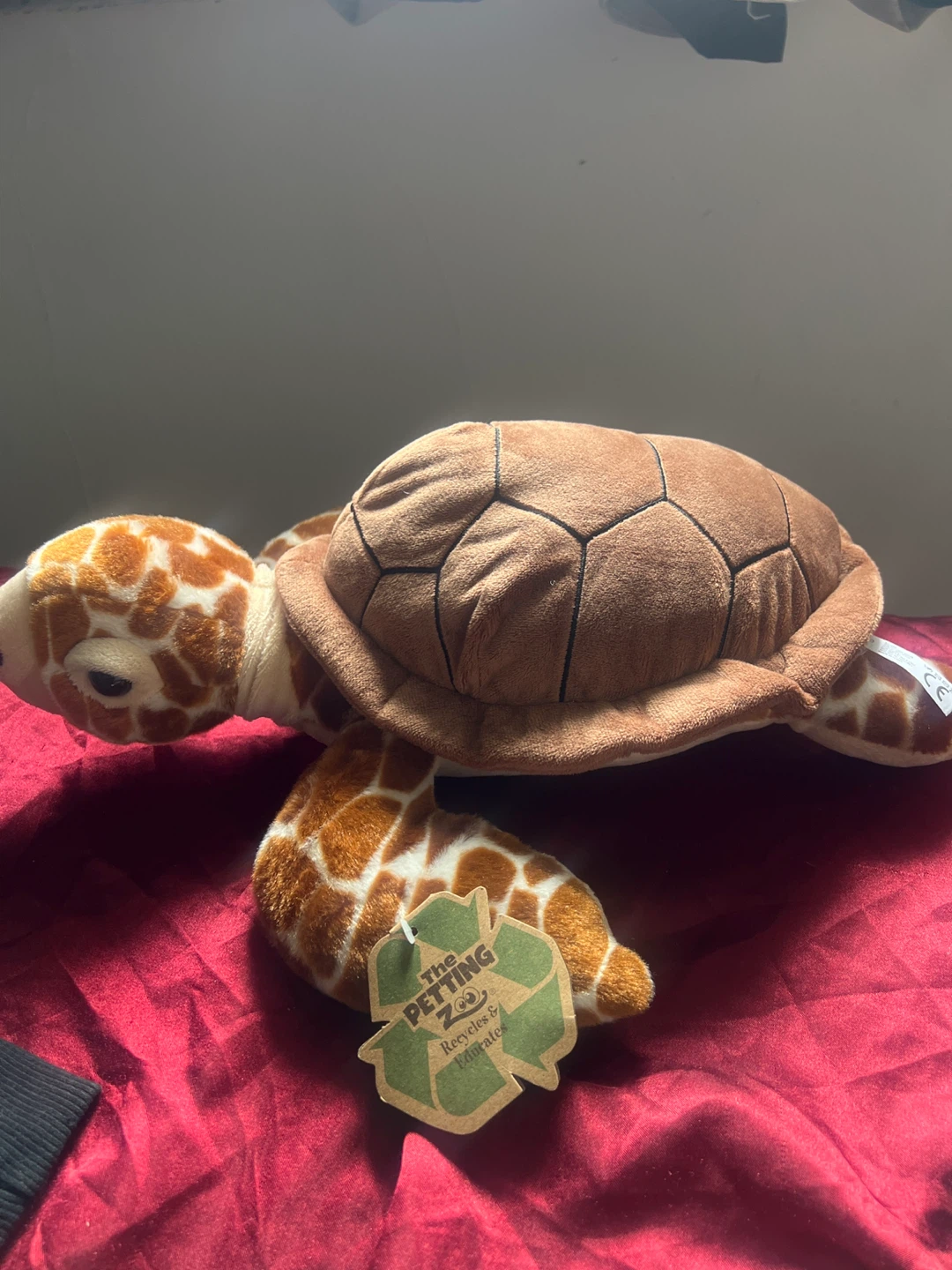 Stuffed Turtle