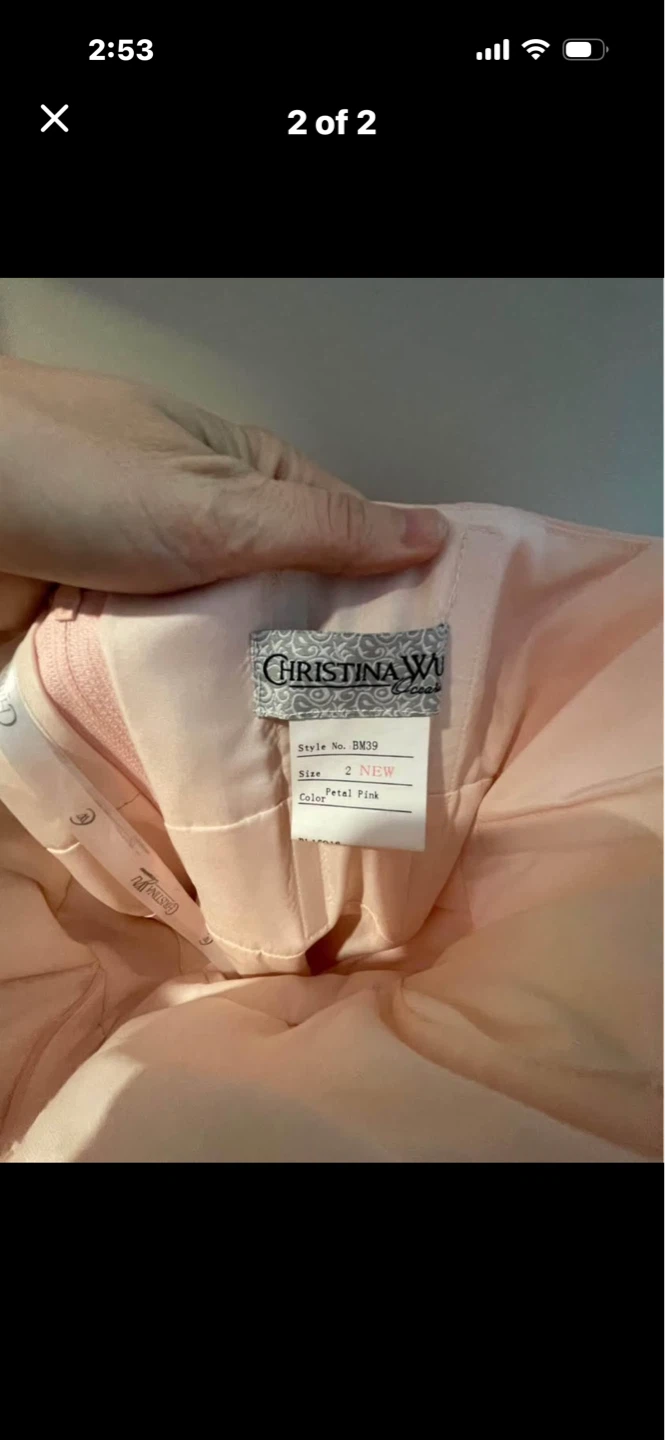 Christina Wu Petal Pink Strapless Dress Size 2 - photo 2