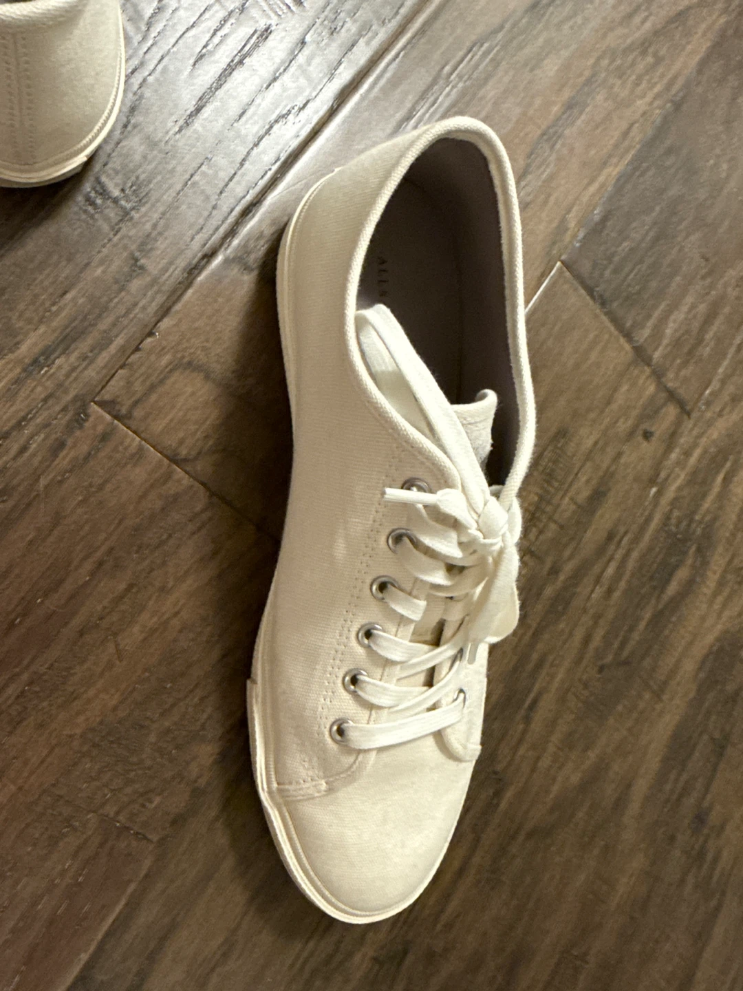 AllSaints Canvas Sneakers - Off-White - photo 5