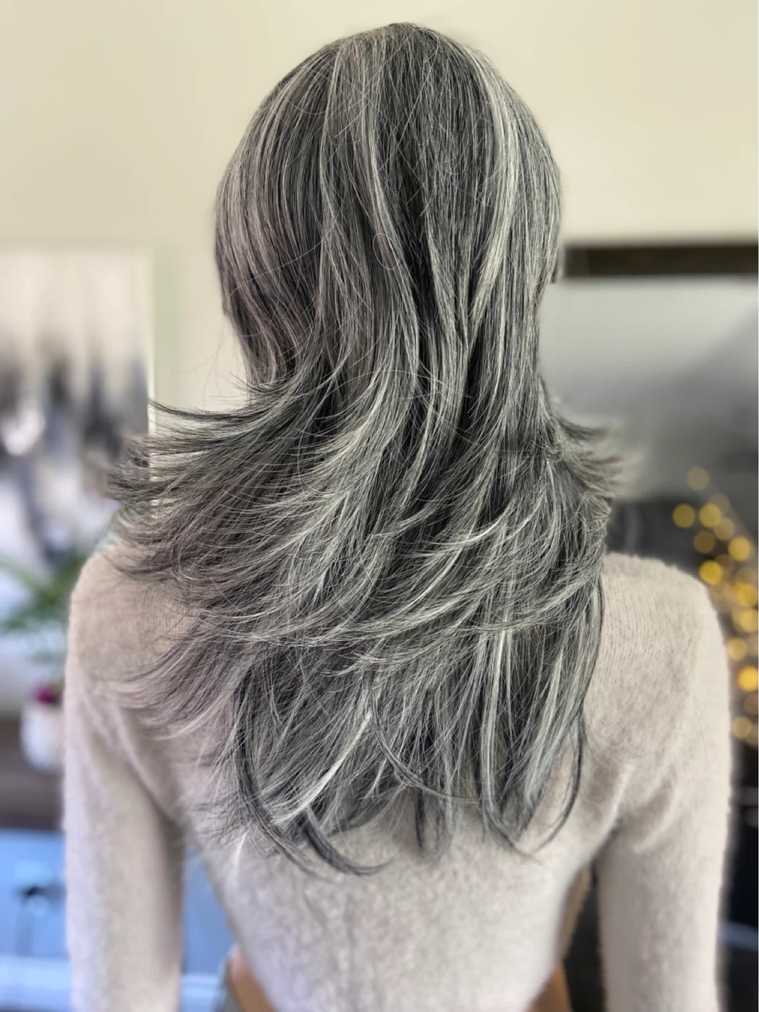 NWOT 20” Long Layered Salt & Pepper Grey Silver Synthetic Wig - photo 2