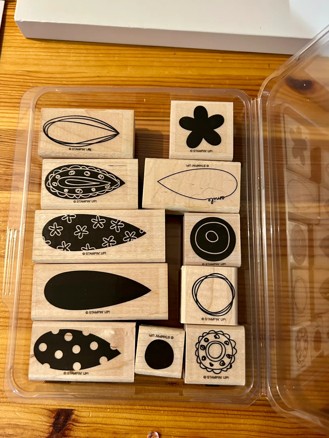 Pick a Petal Stamp Set