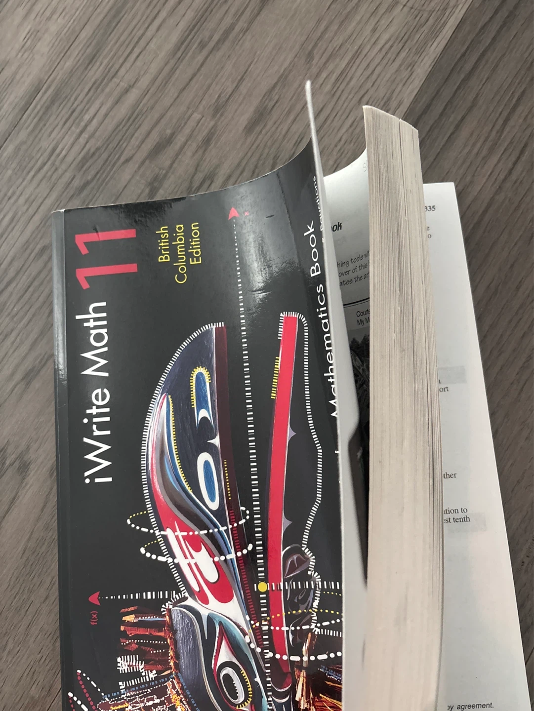 iWrite Math 11 Pre-Calculus Mathematics Book - photo 2