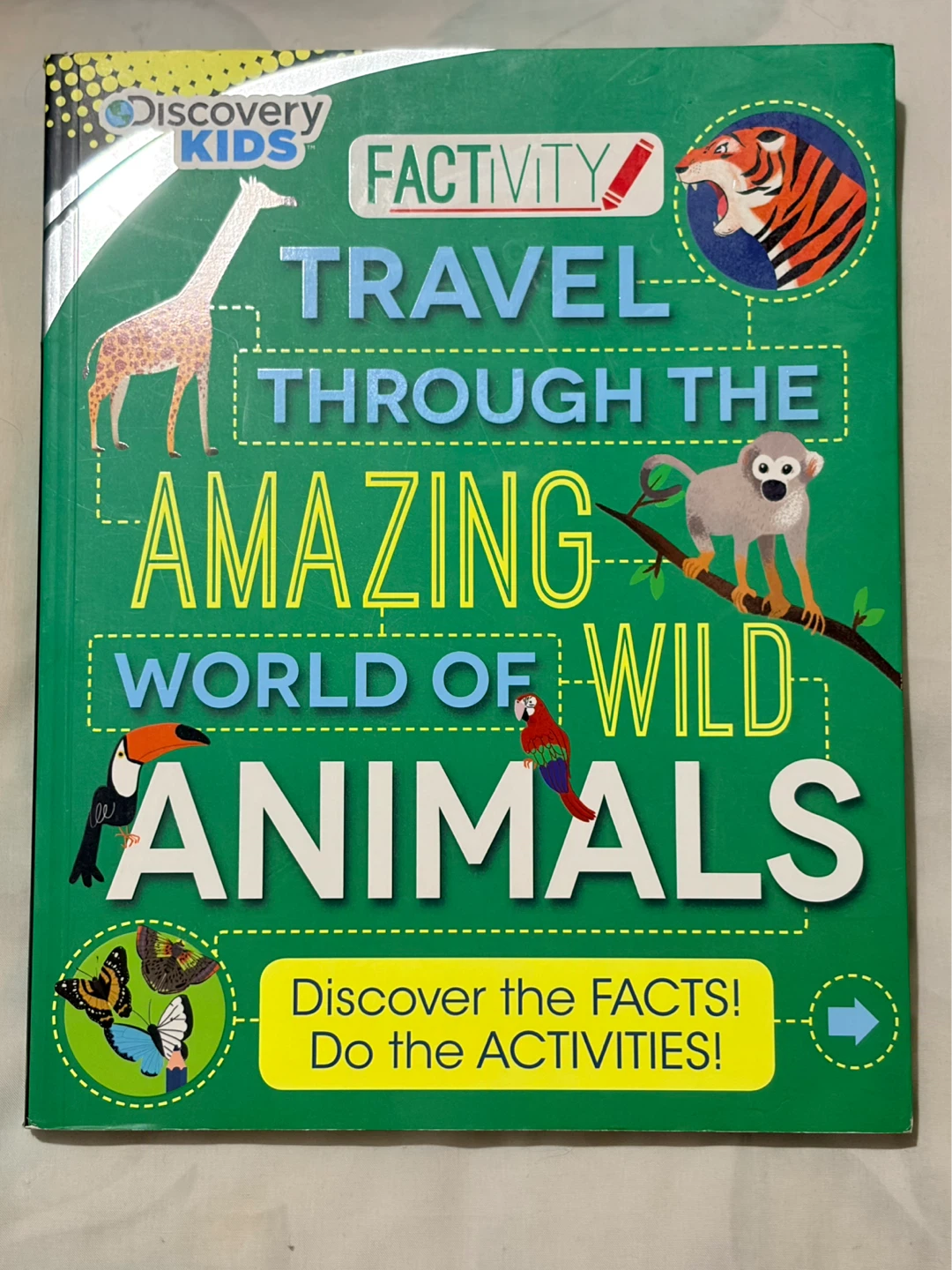 Discovery Kids Factivity Book