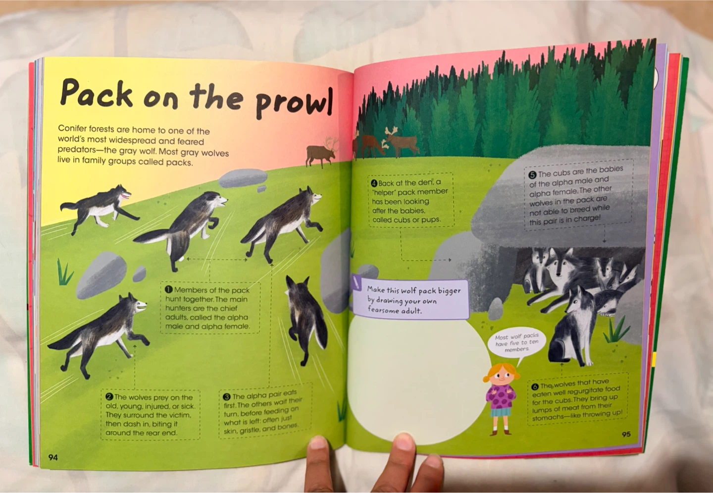 Discovery Kids Factivity Book - photo 3