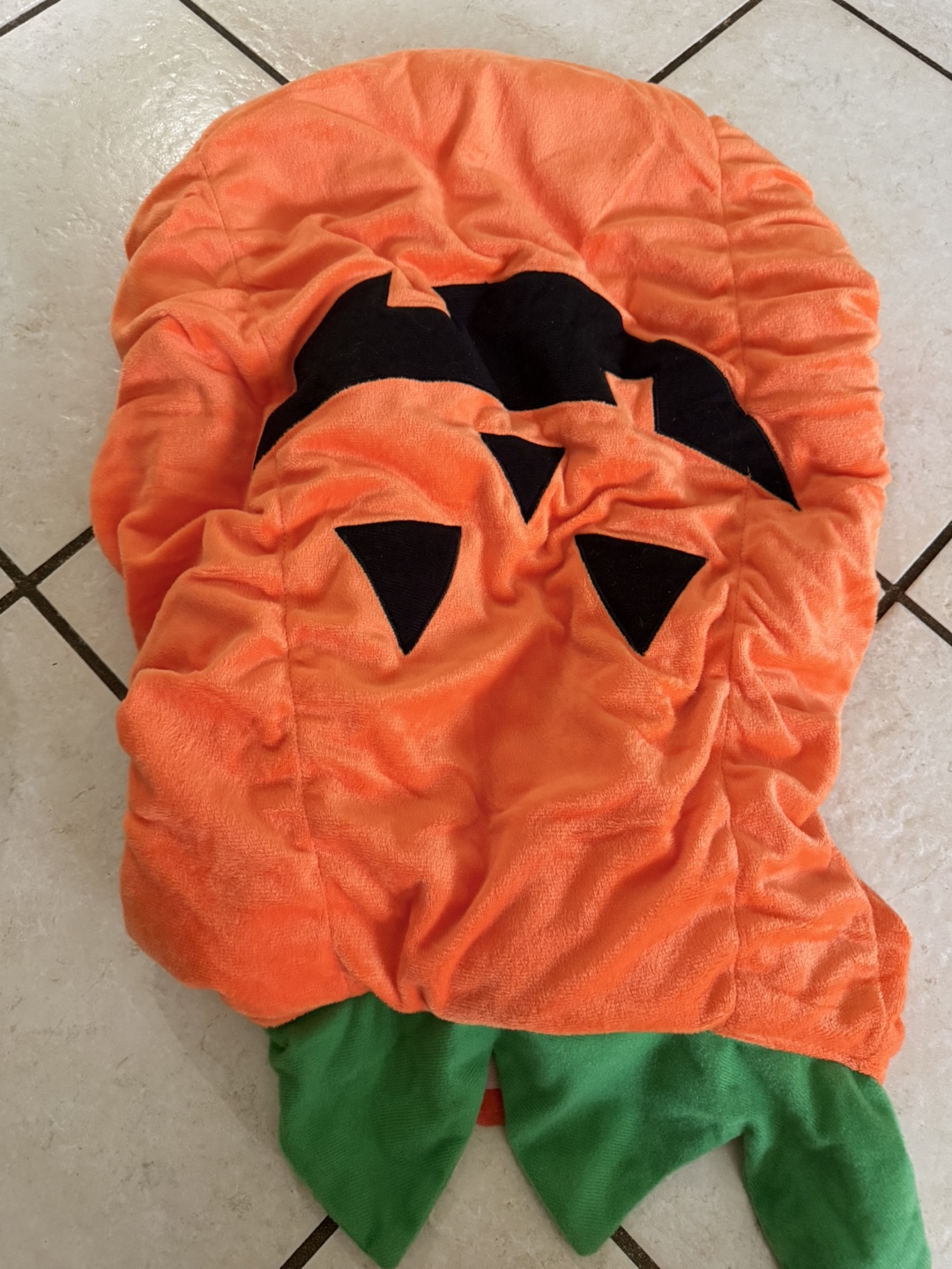 Dog costume