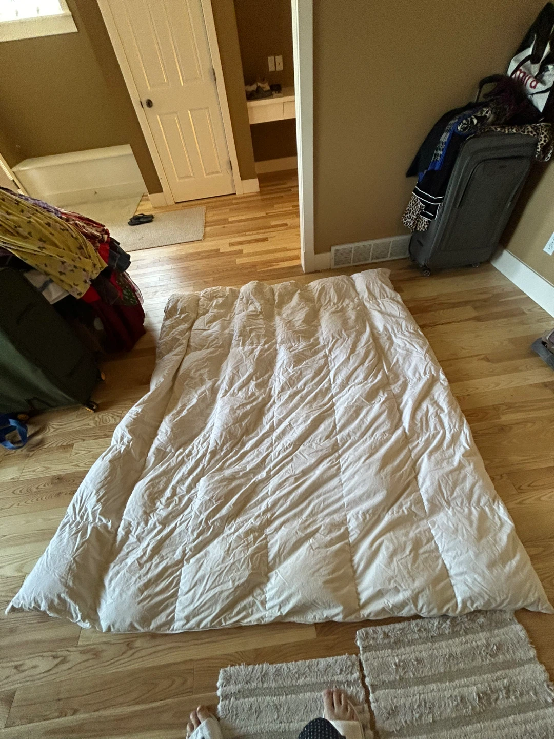 Queen while Duvet Comforter