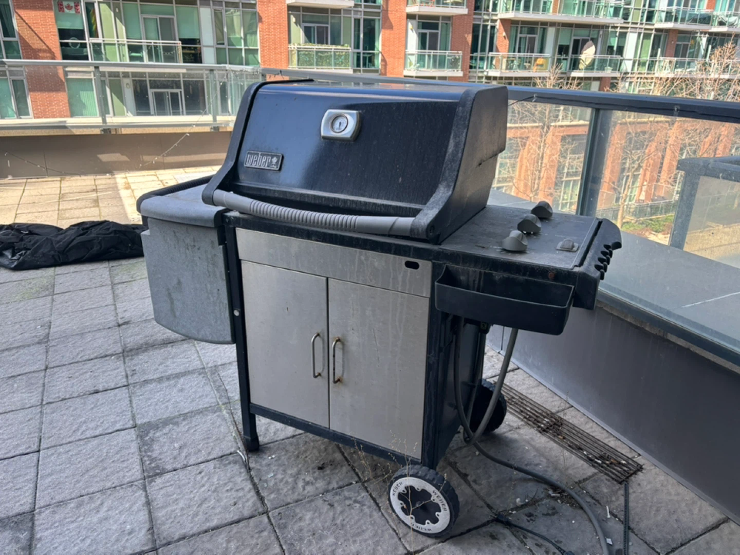 Weber Natural Gas BBQ Grill