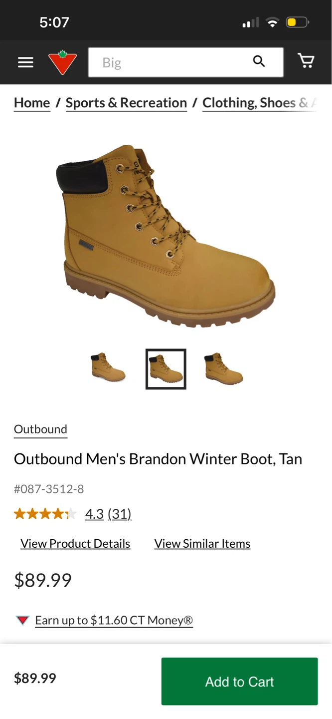 Outbound Men's Brandon Winter Boot, Tan