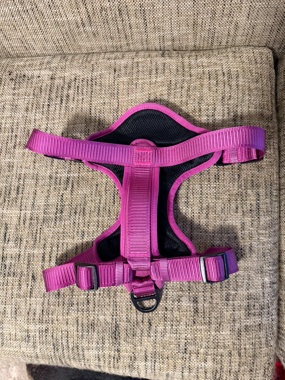 KONG Pink Dog Harness with Poop Bag Holder - photo 3
