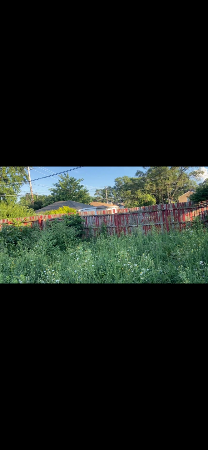 Grass mowing/Bush trimming