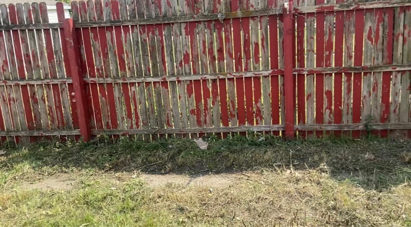 Grass mowing/Bush trimming - photo 2