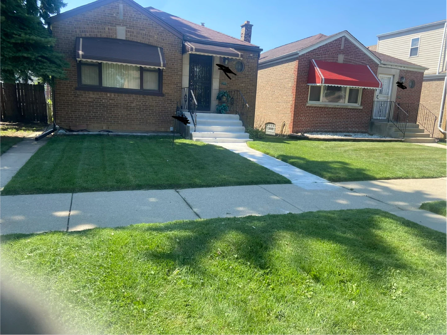 Grass mowing/Bush trimming - photo 3
