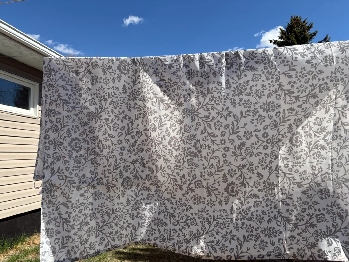 Floral Curtains