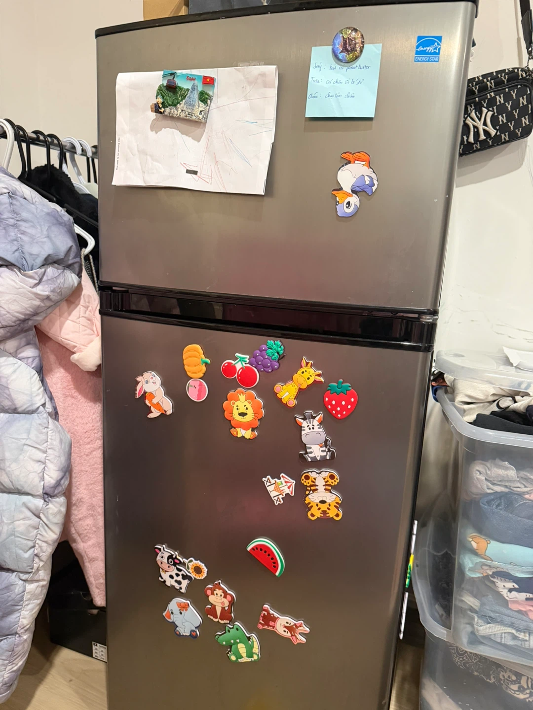 Energy Star Refrigerator
