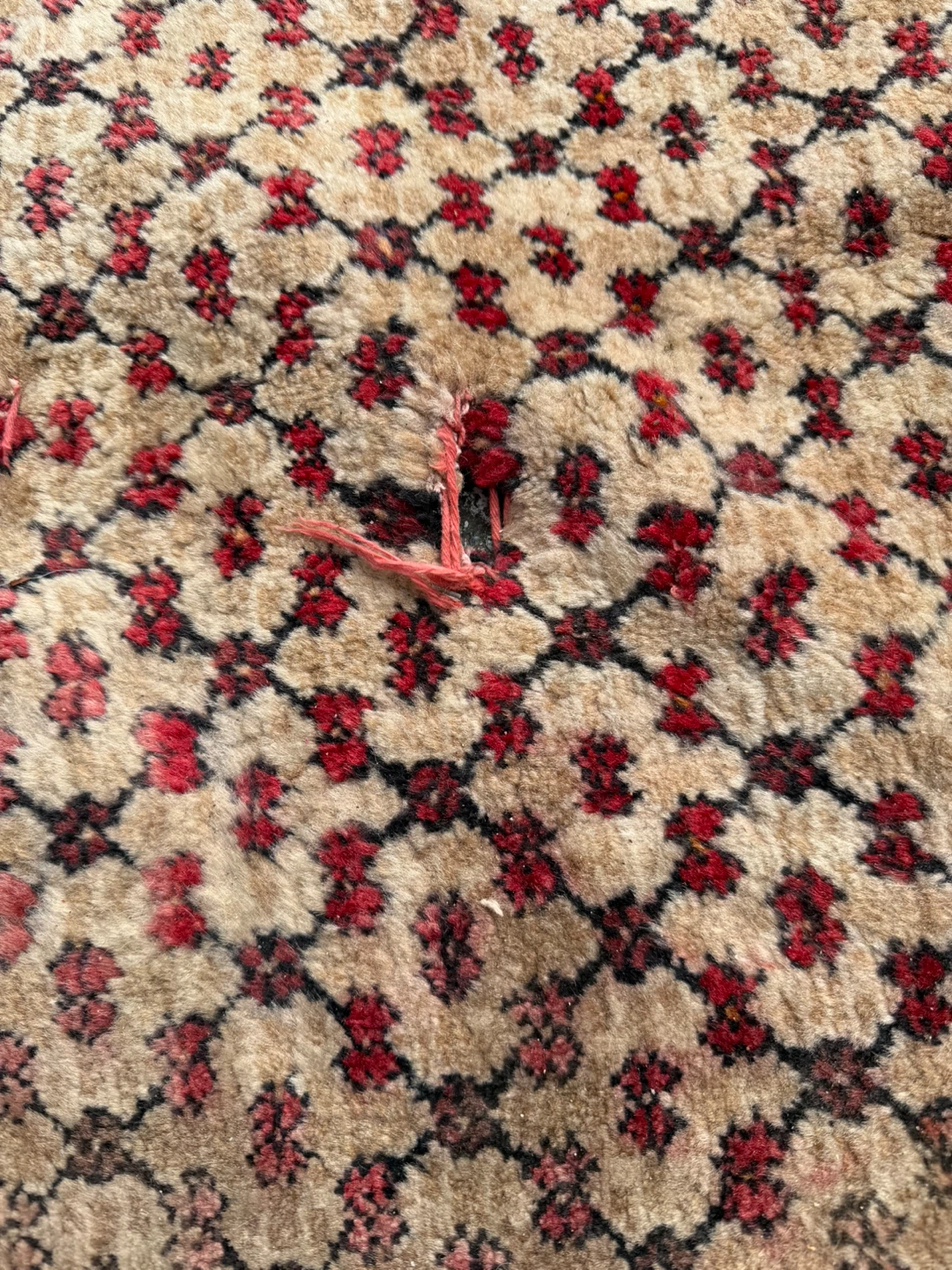 Vintage Oriental Area Rug - photo 3