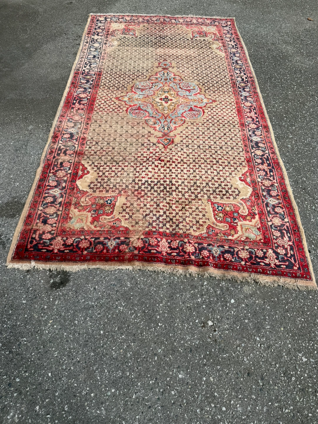 Vintage Oriental Area Rug - photo 5