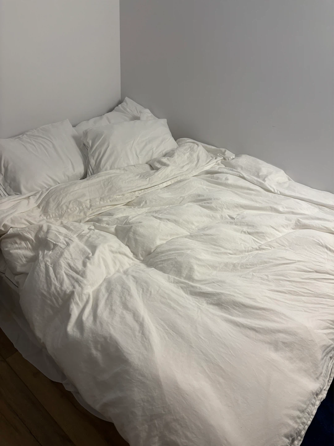 Queen Memory Foam Mattress and White Goose Down Duvet Set