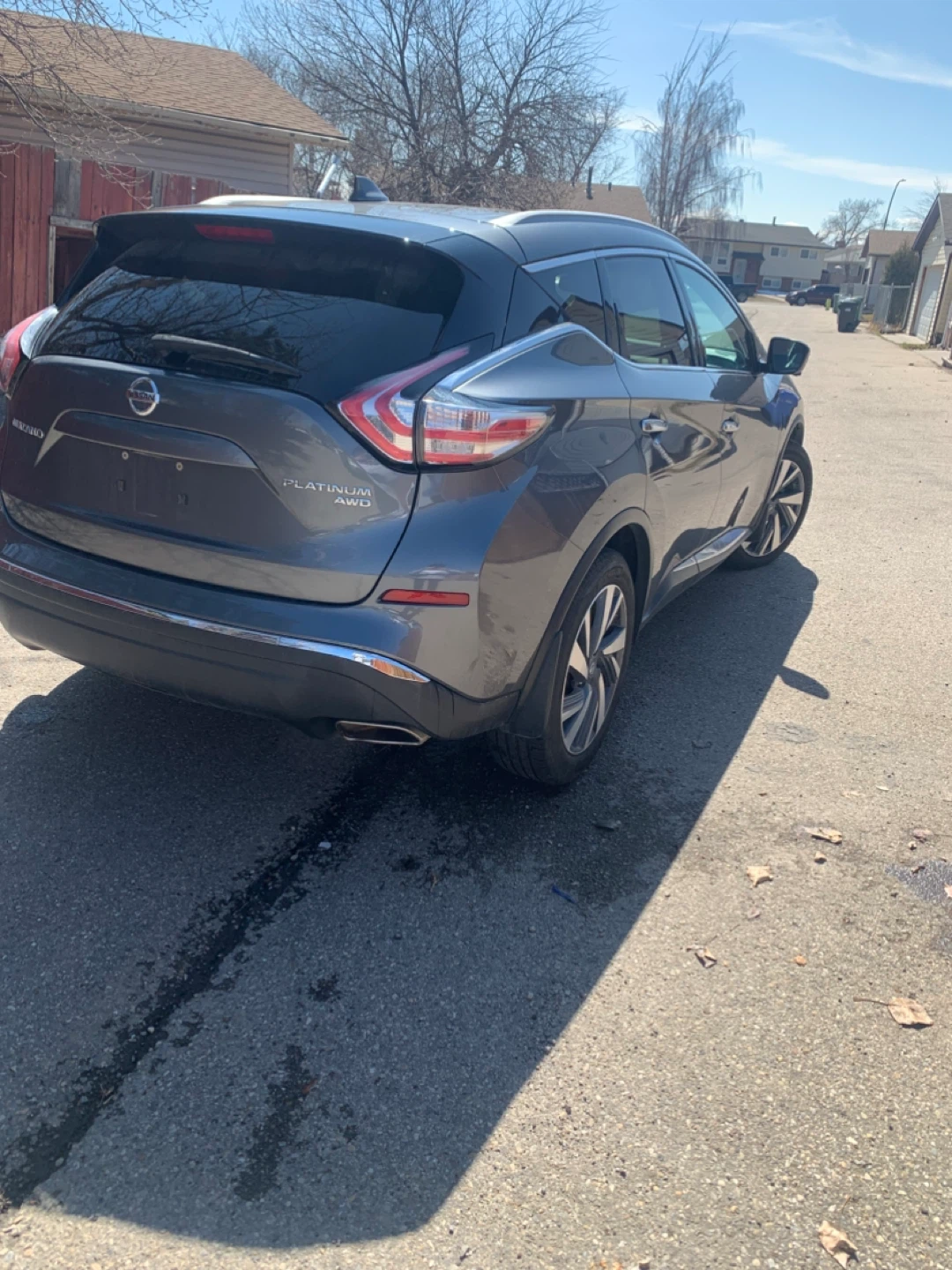 Nissan Murano Platinum AWD SUV - photo 4