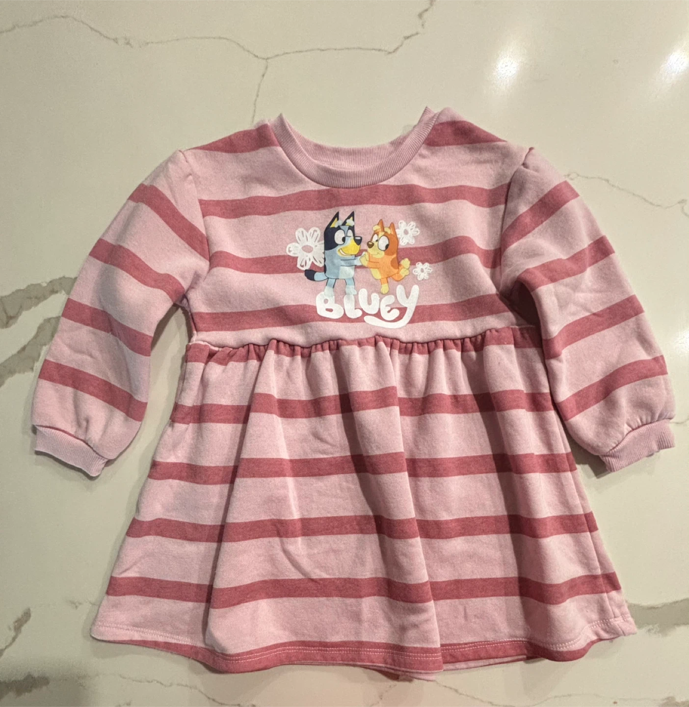Bluey Pink Striped Fleece Lined Dress Excellent Condition - 3T
