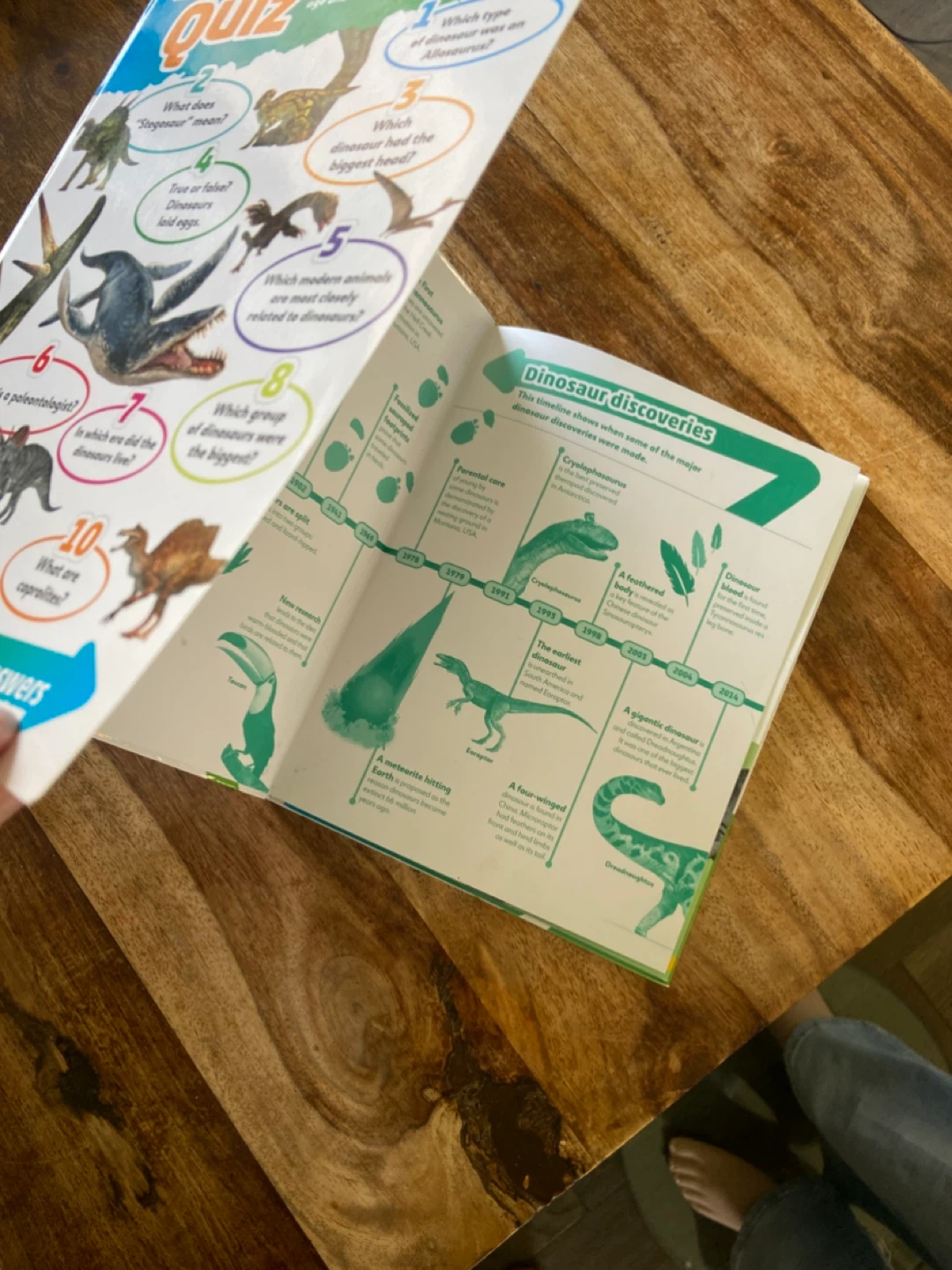 EUC: DK findout! Dinosaurs Book for Kids - photo 5