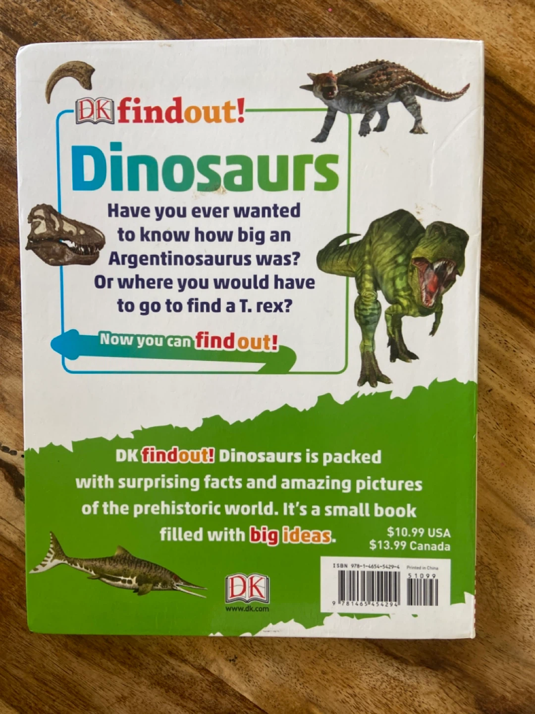EUC: DK findout! Dinosaurs Book for Kids - photo 2