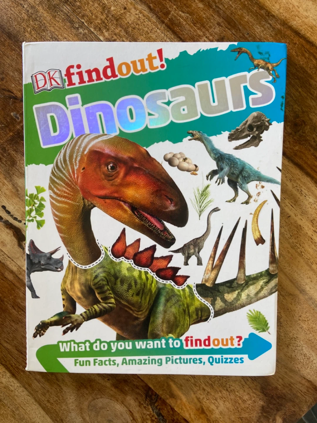 EUC: DK findout! Dinosaurs Book for Kids
