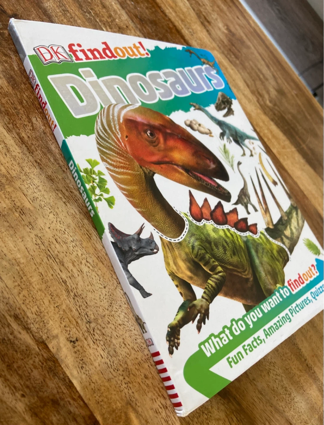 EUC: DK findout! Dinosaurs Book for Kids - photo 4