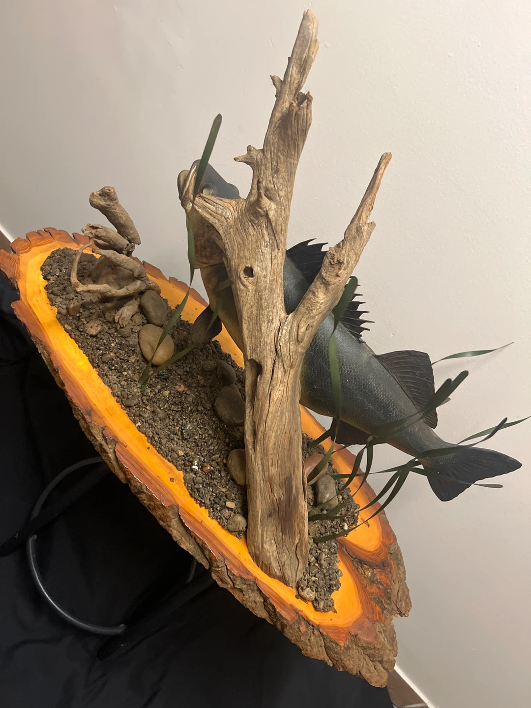 “Advanced Taxidermy “ Habitat Walleye Fish Mount on Wood Slice - photo 3