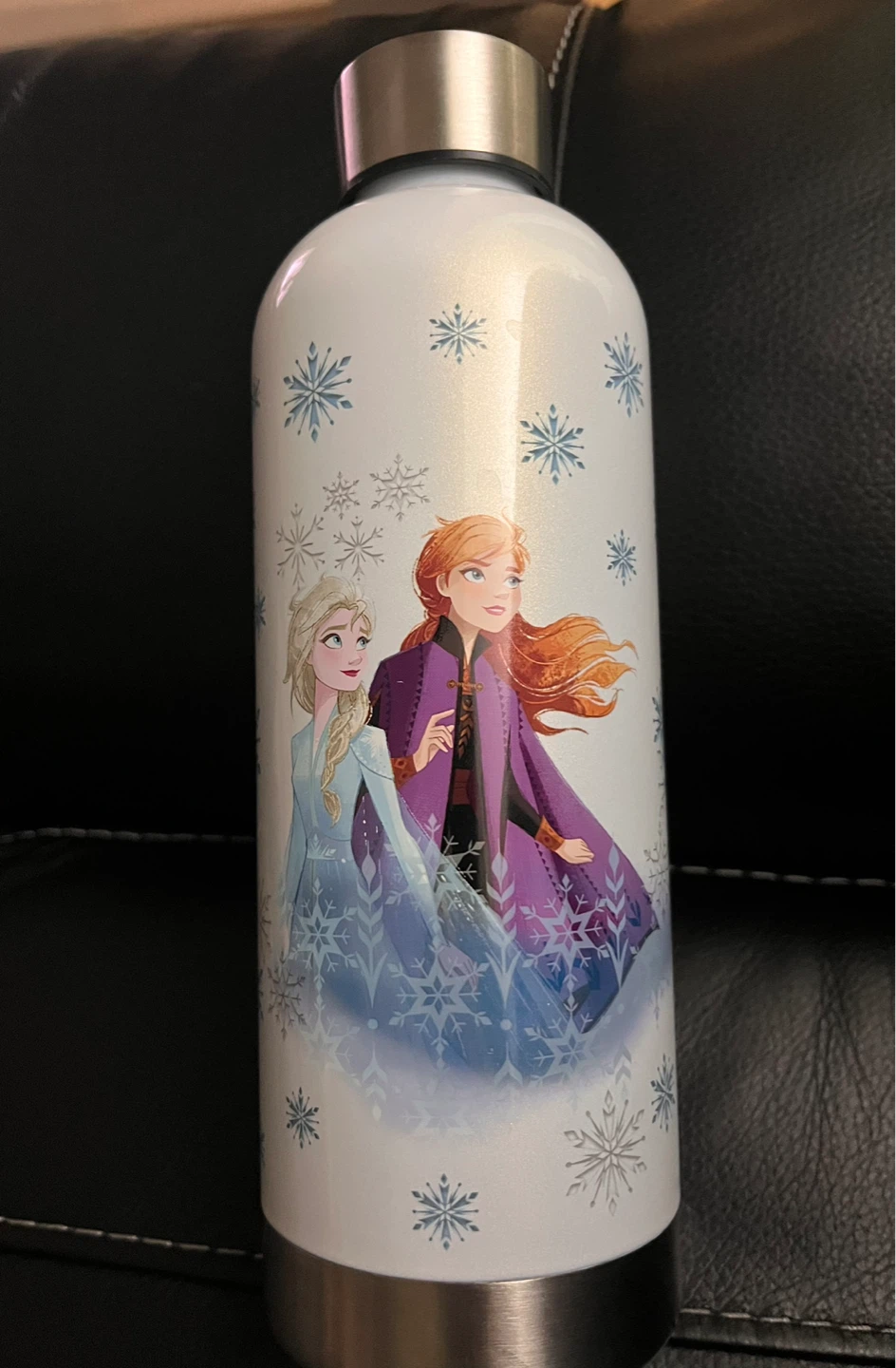 Williams Sonoma Frozen II Stainless Steel Water Bottle