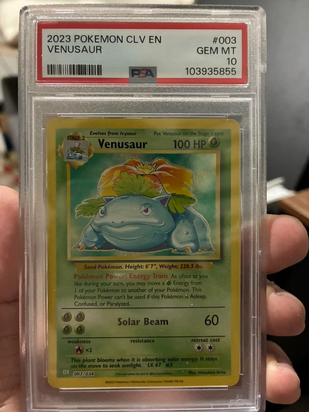 Venusaur CLV