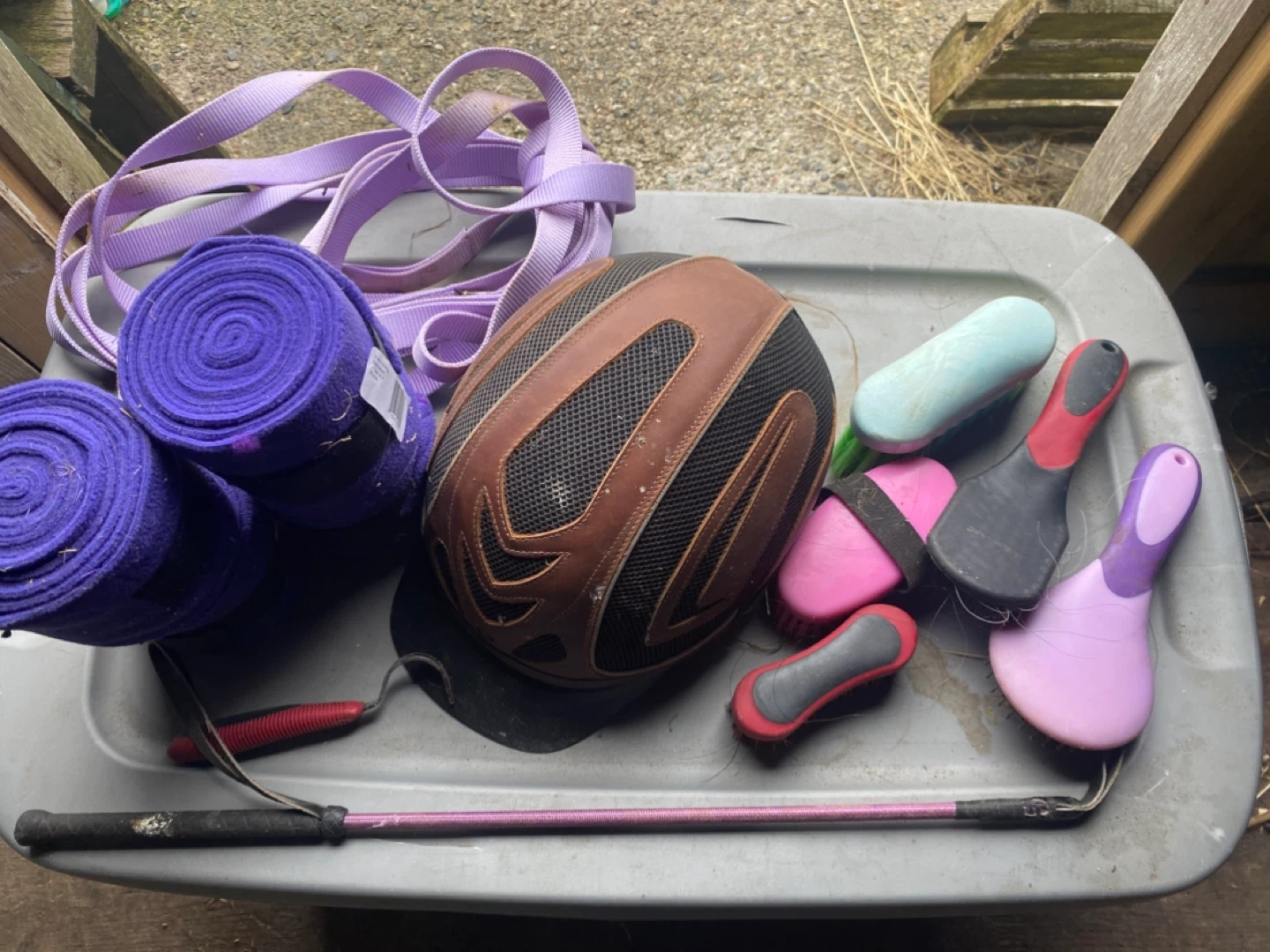 Venture Equestrian Helmet and Grooming Kit