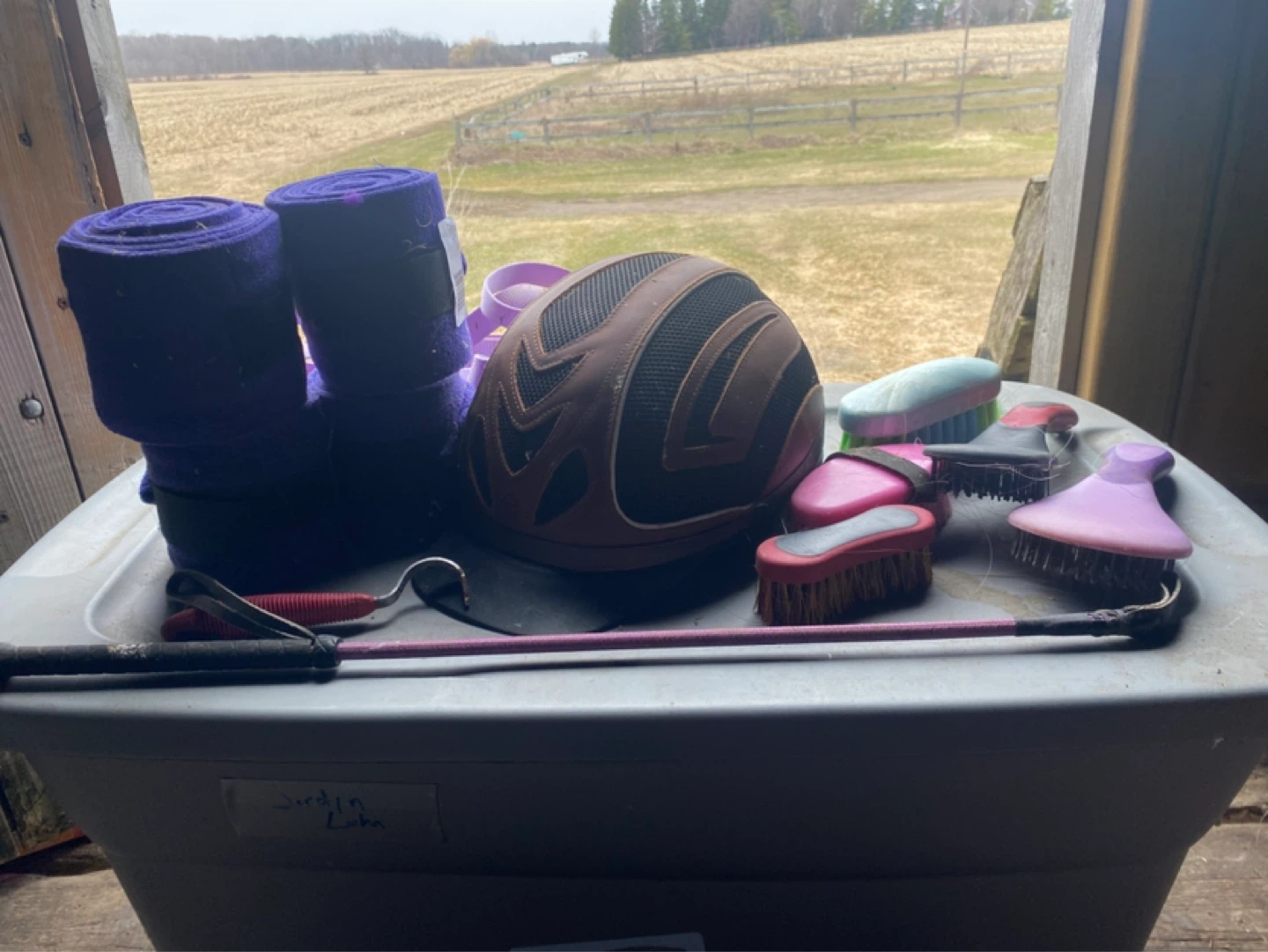 Venture Equestrian Helmet and Grooming Kit - photo 3