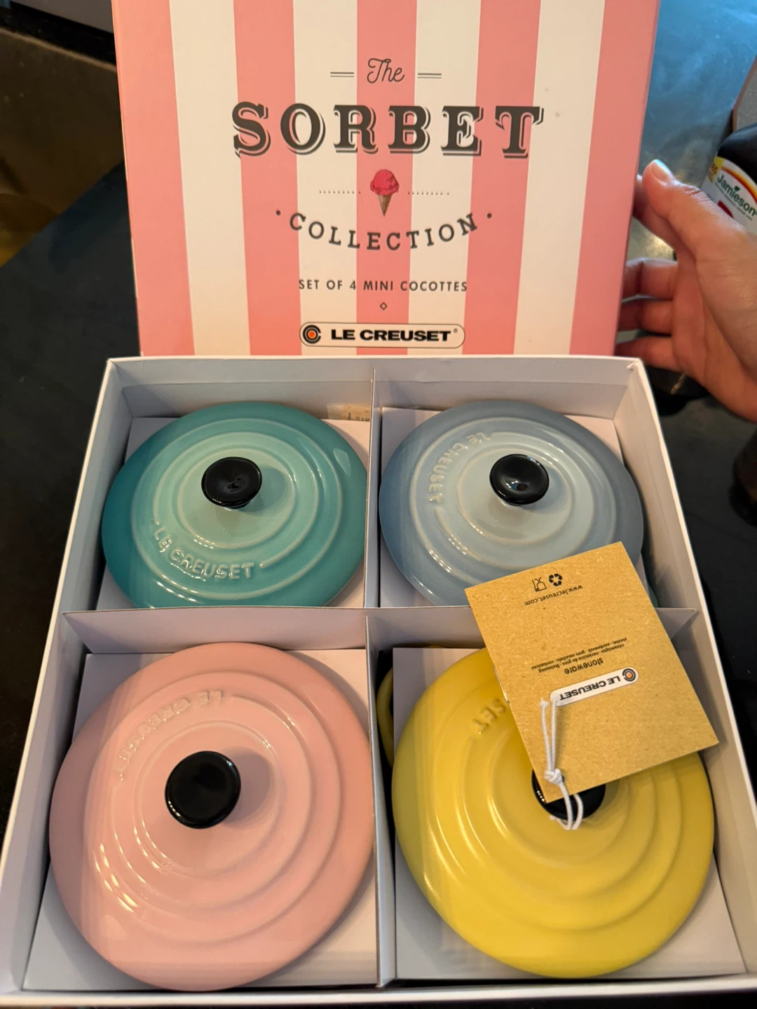 Le Creuset Sorbet Collection Set of 4 Mini Cocottes