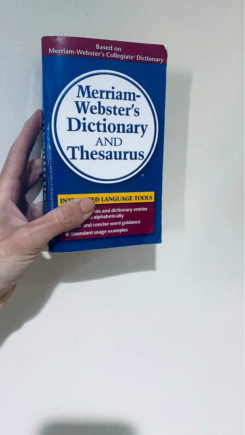Dictionary/thesaurus