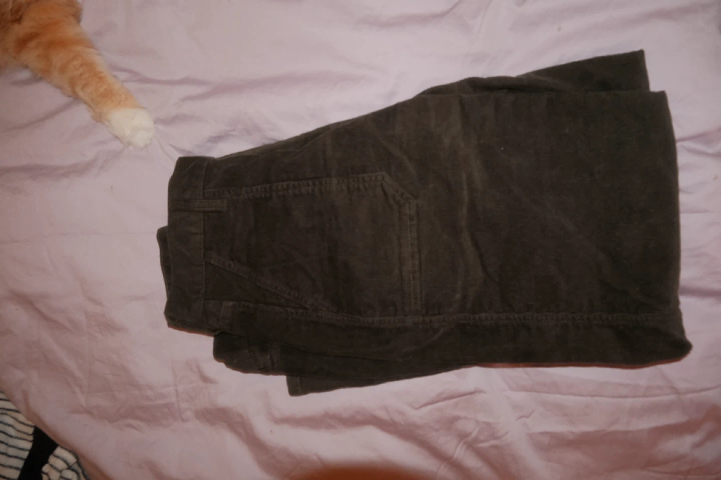 Eddie Bauer Corduroy Pants - photo 2