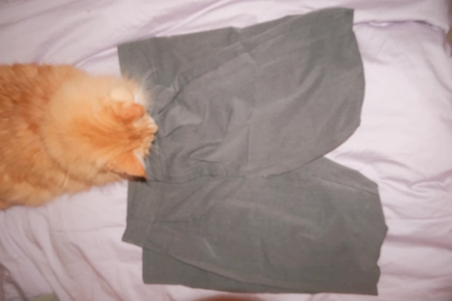 Korean Grey dress pants