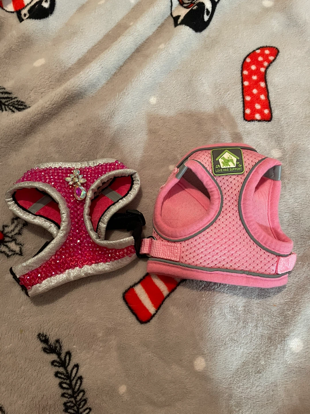 XXS Dog Harnesses